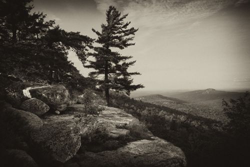 CroceB&W