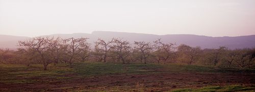 P-0403 P-0403
