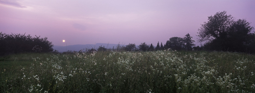 P-0315 P-0315