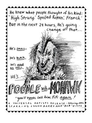 Poodle with a Mohawk Poodle with a Mohawk