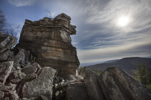 3126