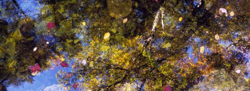 P_0290sfa