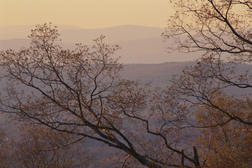 409 Catskill Spring View #2